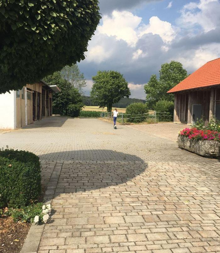 Ferienwohnung Baumgartner Ursensollen Exterior foto